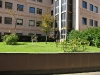 radebergher-4.jpg